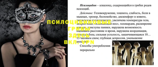 не бодяженный Алексин